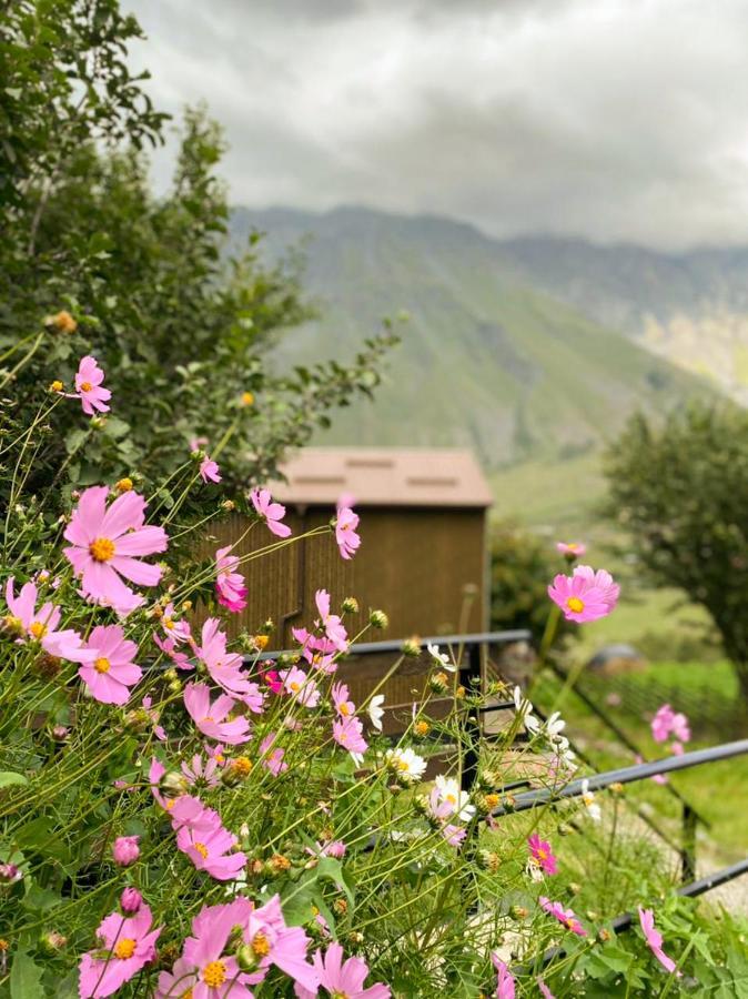 My Space Kazbegi Daire Dış mekan fotoğraf